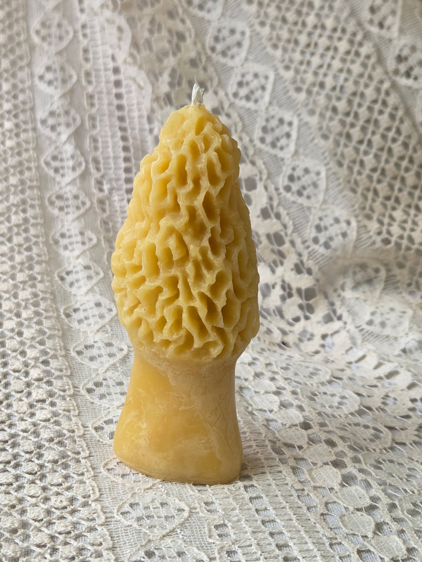 Morel Mushrooms - 2 Sizes | Beeswax Candles