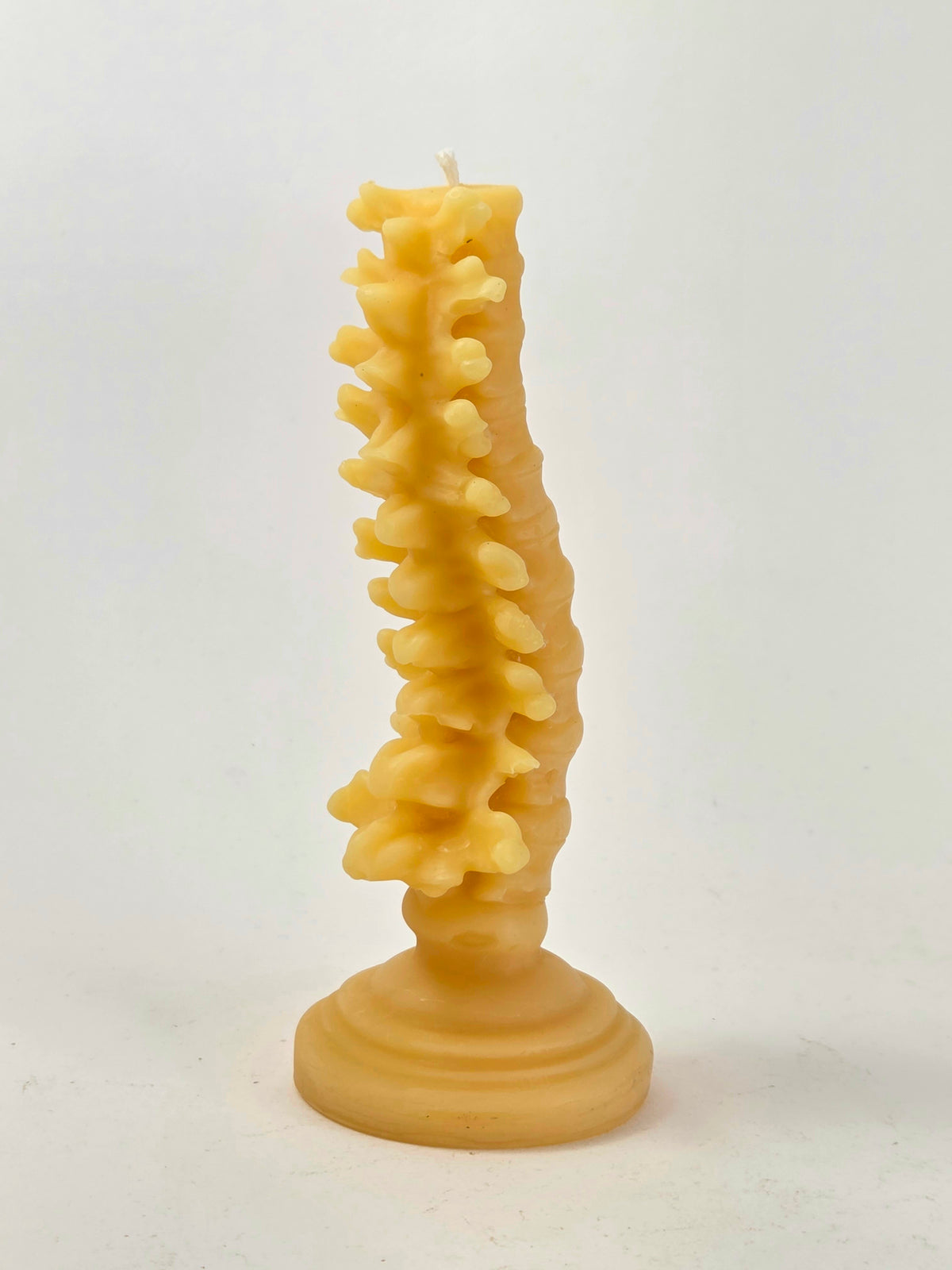 Grow a Spine | Beeswax Candle