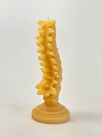 Grow a Spine | Beeswax Candle