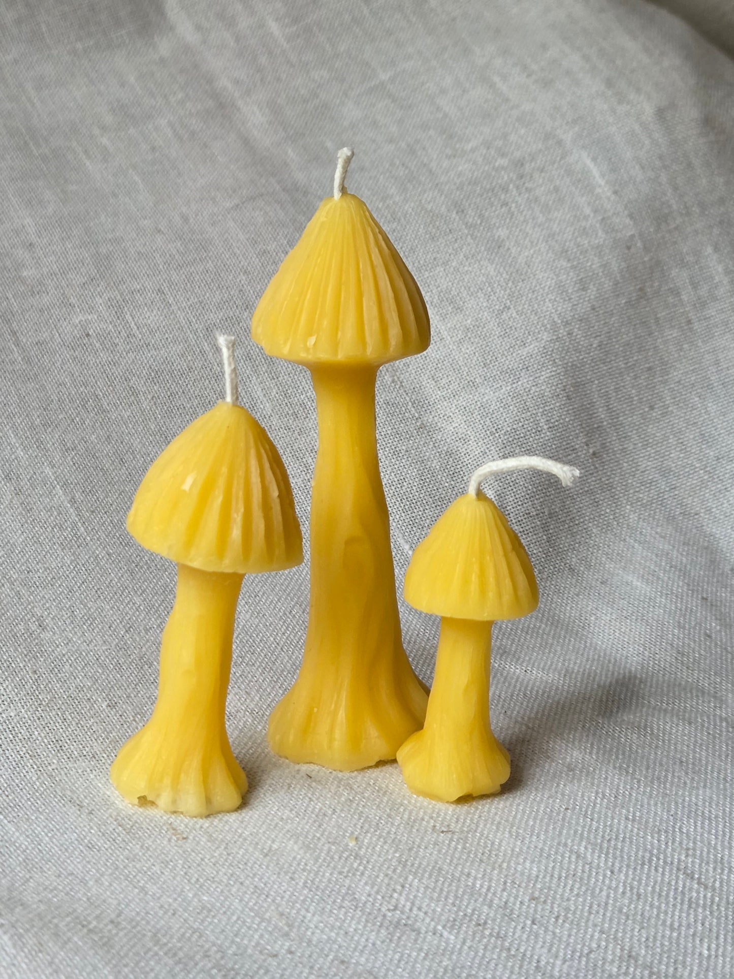 Fairy Garden Mushrooms - Set of 3 | Beeswax Candles