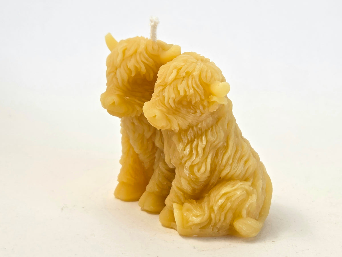 Bovine Besties | Beeswax Highland Cow Candle