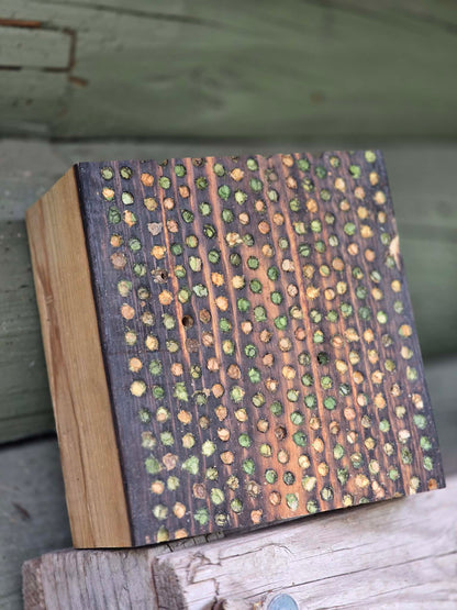 Garden Leafcutter Bees