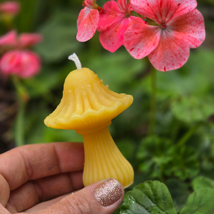 Geranium Mushroom | Beeswax Candle