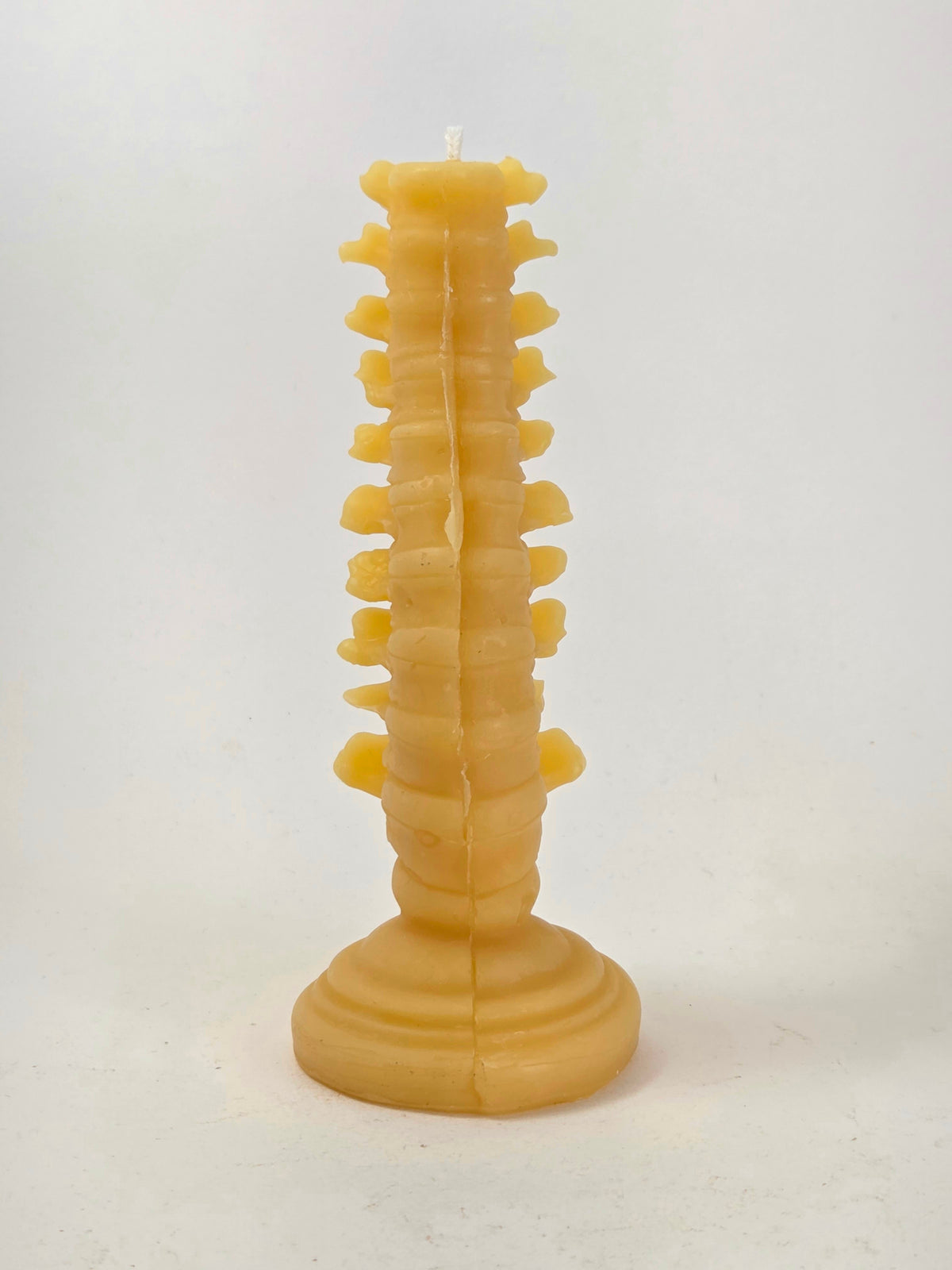 Grow a Spine | Beeswax Candle