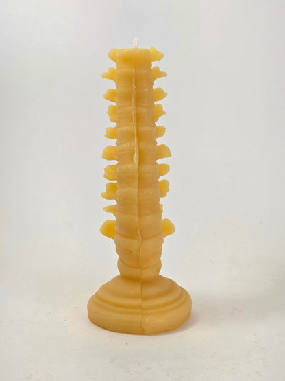 Grow a Spine | Beeswax Candle