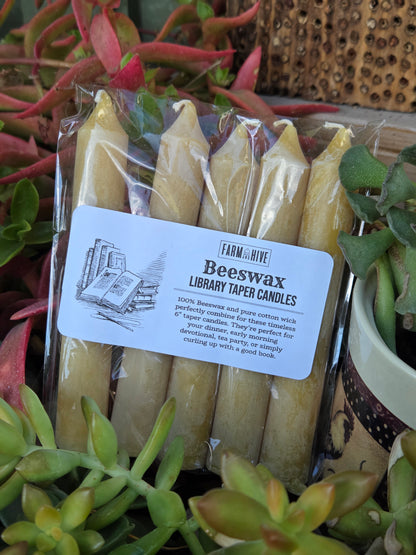 Library Taper - Pack of 5 | Beeswax Candles