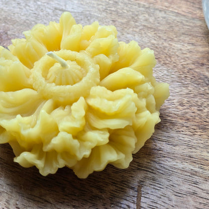 Double Poppy | Floral Beeswax Candle