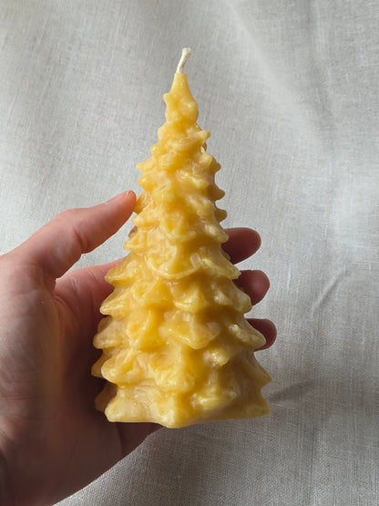 Fir Trees - 3 Sizes | Beeswax Candles