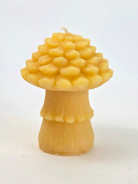 Pinecone Mushroom | Beeswax Candle