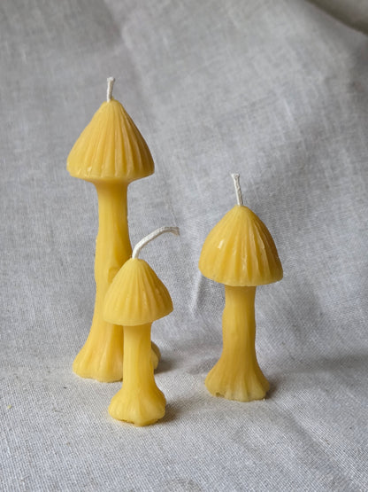 Fairy Garden Mushrooms - Set of 3 | Beeswax Candles