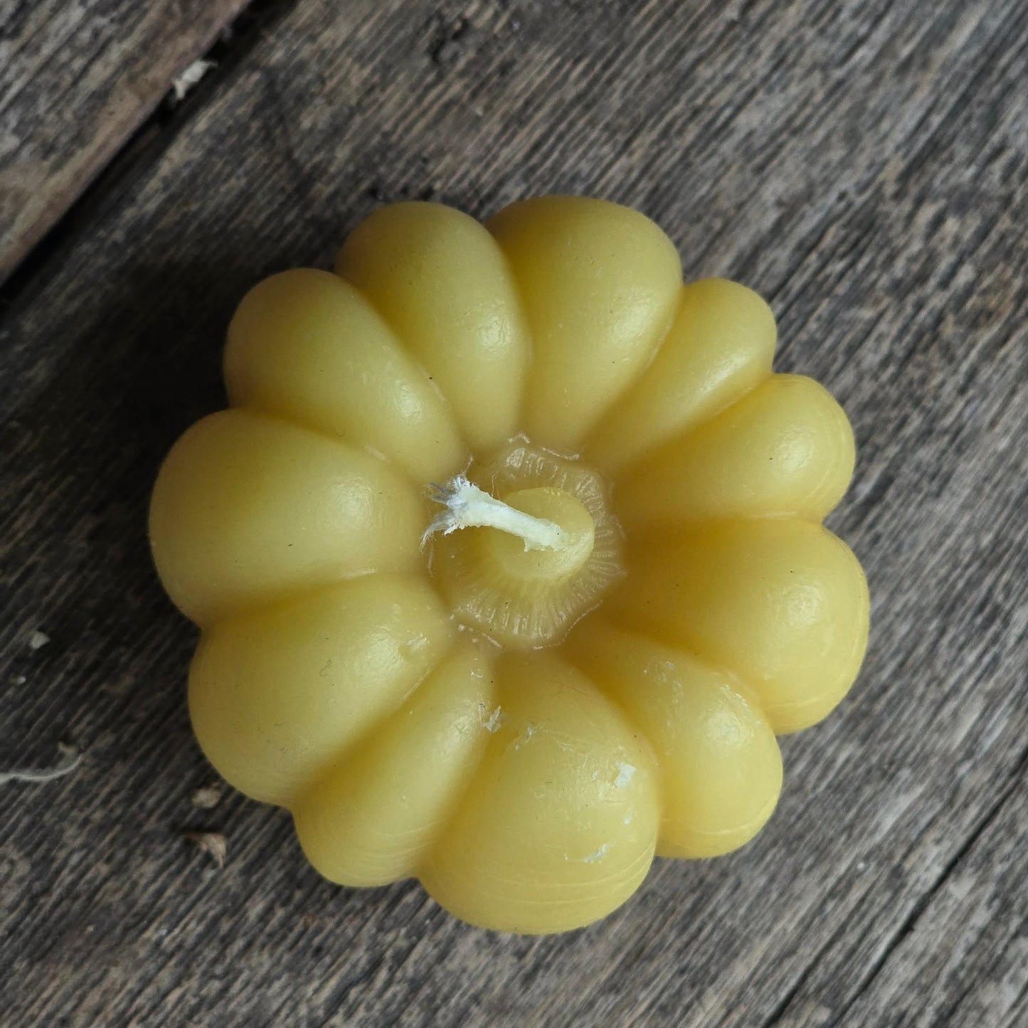 Sugar Pie Pumpkin | Beeswax Candle