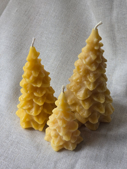 Fir Trees - 3 Sizes | Beeswax Candles