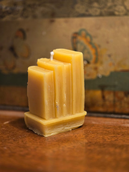 Books Are My Friends | Beeswax Candle