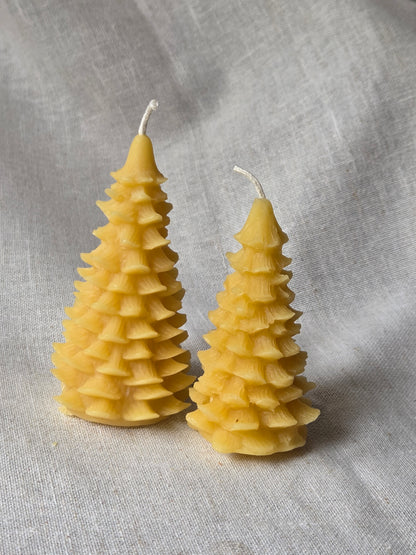 Mini Evergreen Trees - 2 Sizes | Beeswax Candles