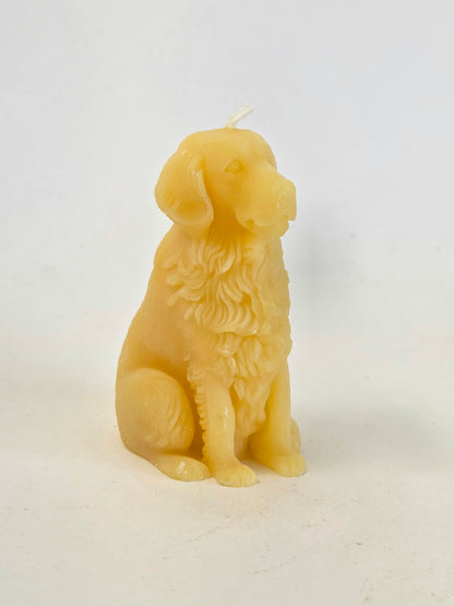 Man's Best Friend | Beeswax Candle