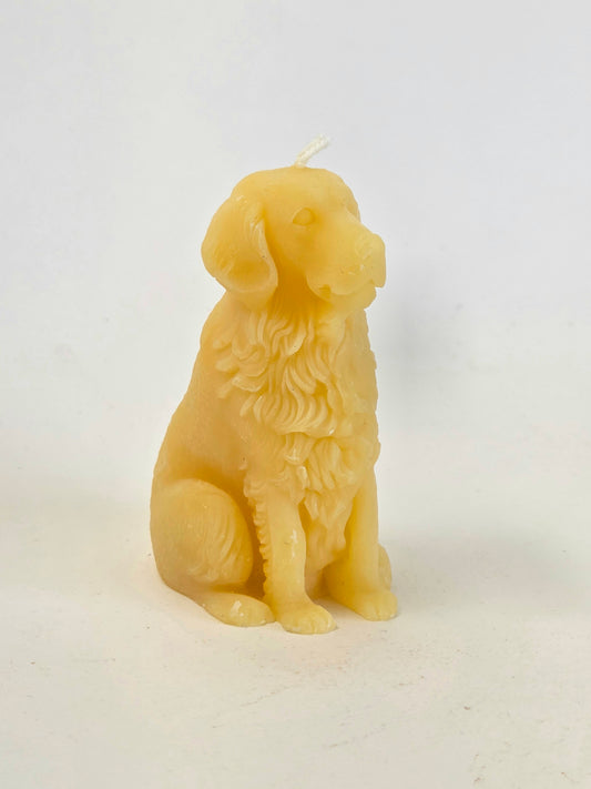 Man's Best Friend | Beeswax Candle