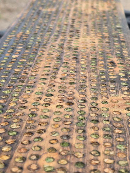 Garden Leafcutter Bees
