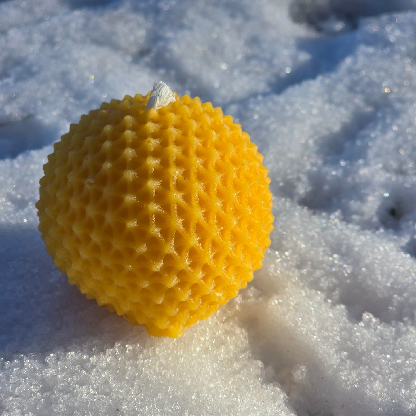 Dandelion Wish | Beeswax Candle