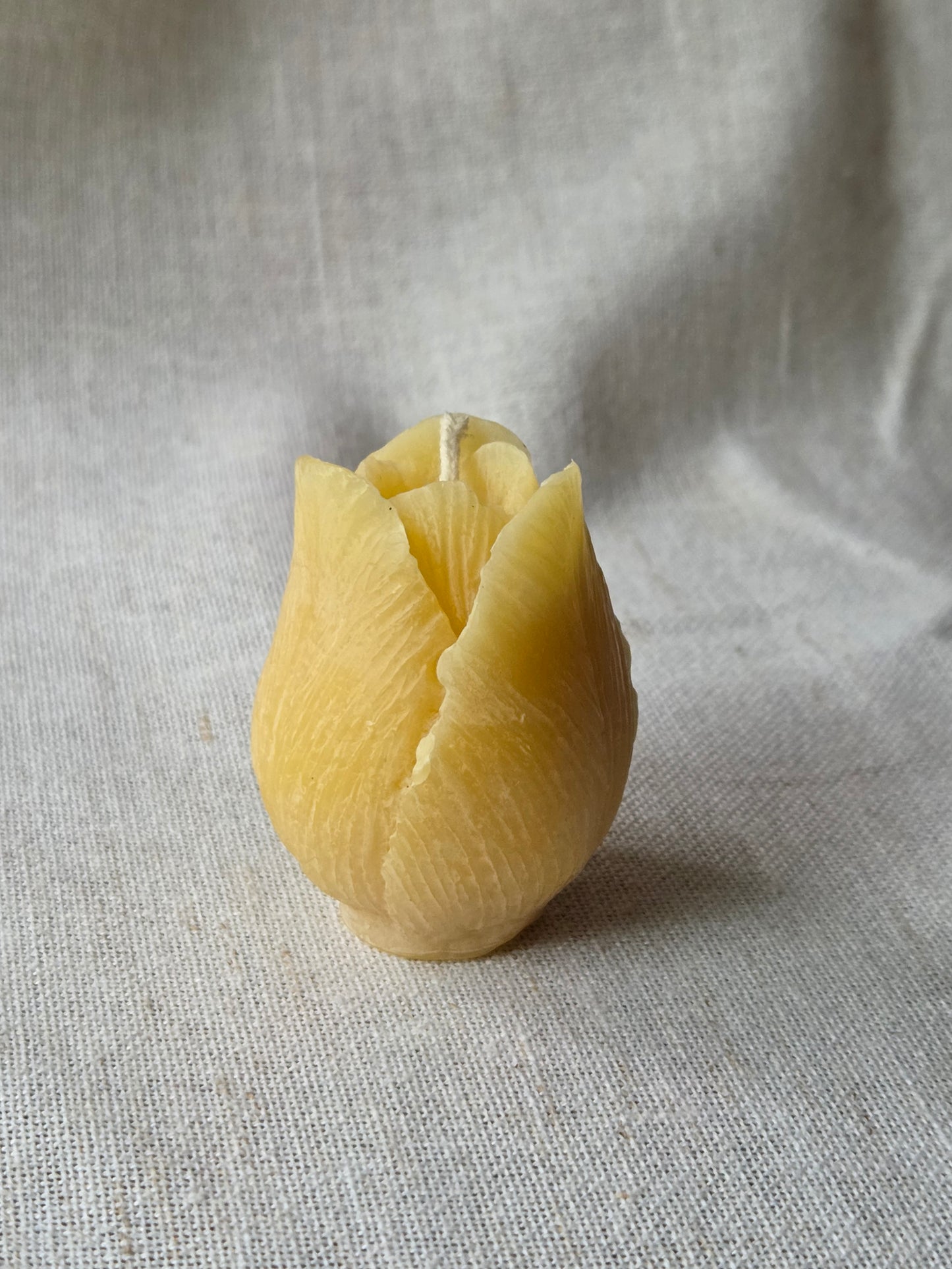 Tulip Votive, Set of 3 | Floral Beeswax Candle