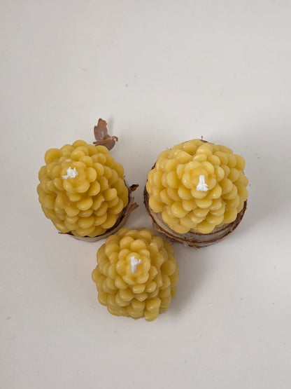 Pinyon Pinecone | Beeswax Candle
