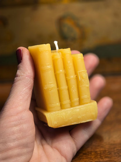 Books Are My Friends | Beeswax Candle