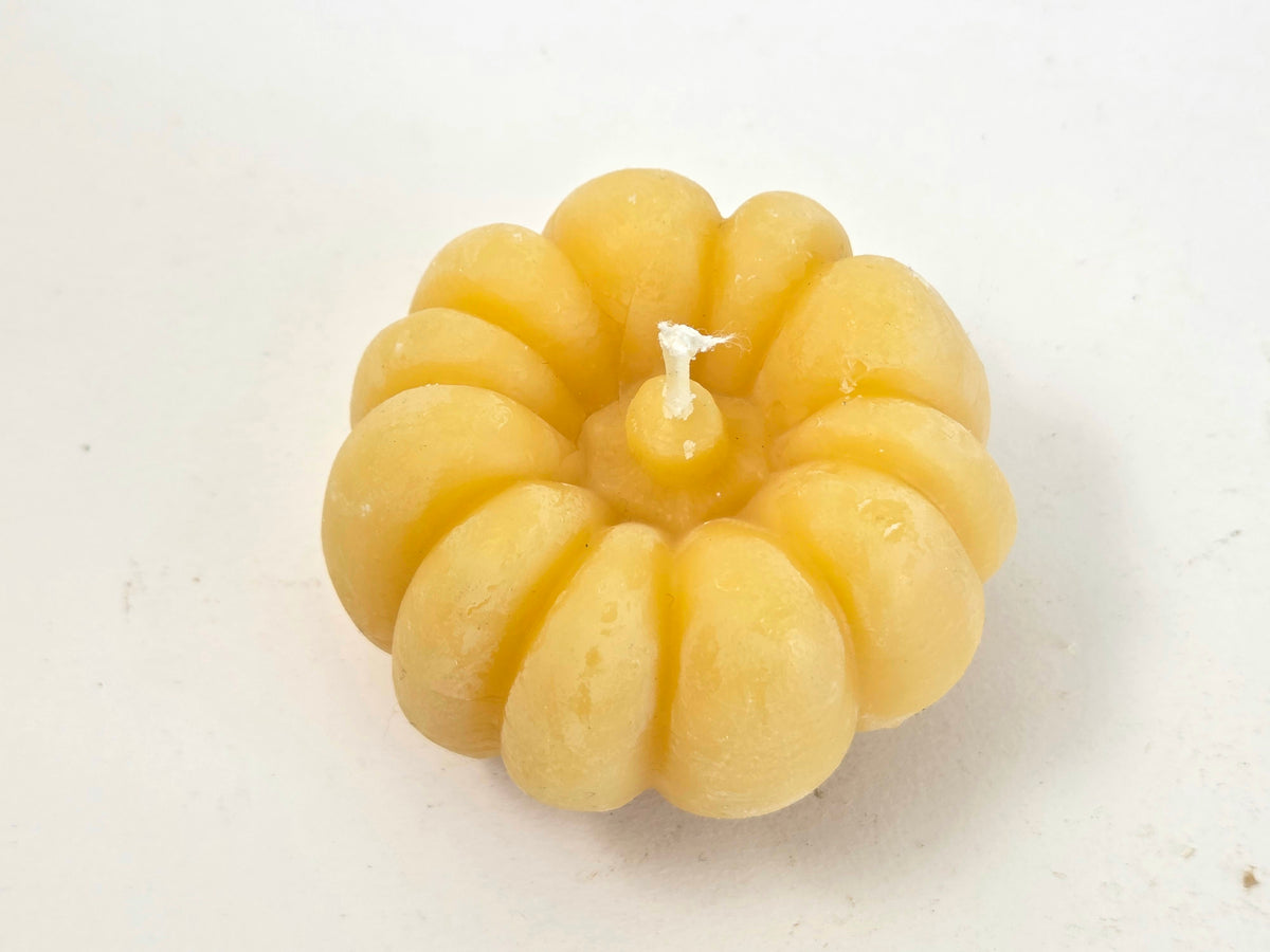 Sugar Pie Pumpkin | Beeswax Candle