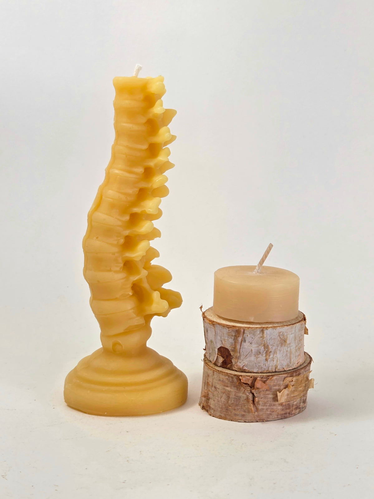 Grow a Spine | Beeswax Candle