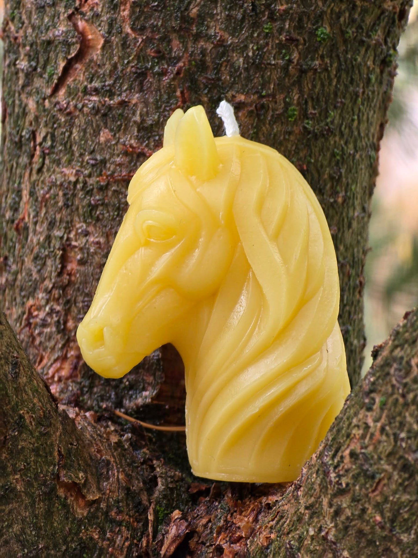Spirit of the West | Beeswax Candle