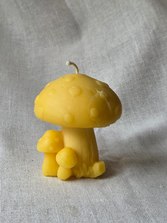 Fairytale Mushroom | Beeswax Candle
