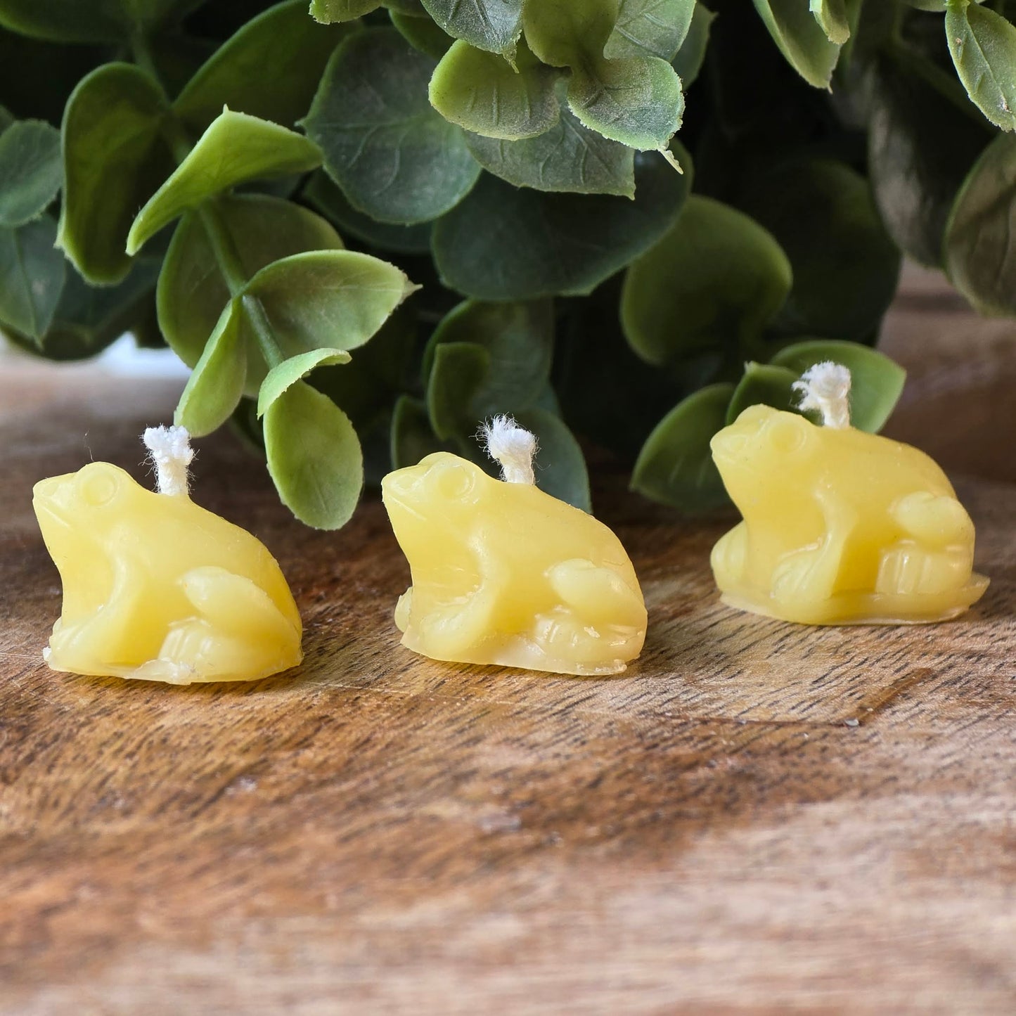 Bitty Frog - Set of 2 | Beeswax Candle