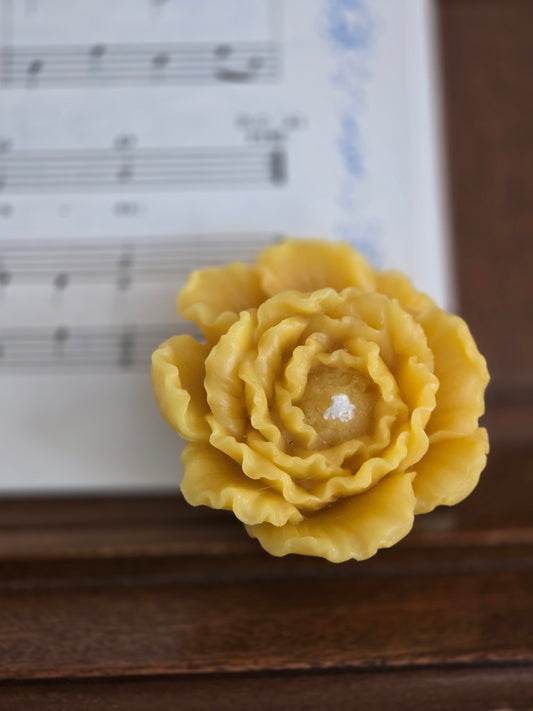 Poppy - Set of 2 | Floral Beeswax Candle