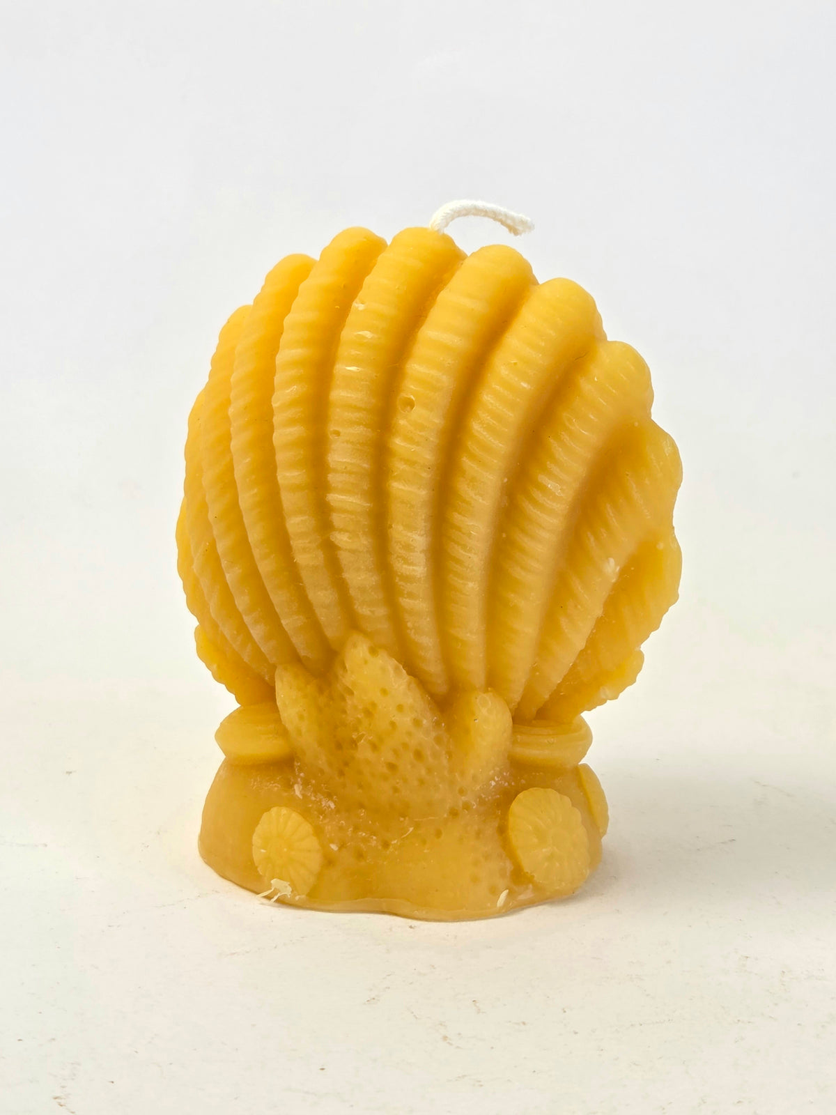Pearlkeeper Clam | Nautical Beeswax Candle