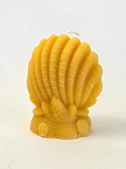 Pearlkeeper Clam | Nautical Beeswax Candle