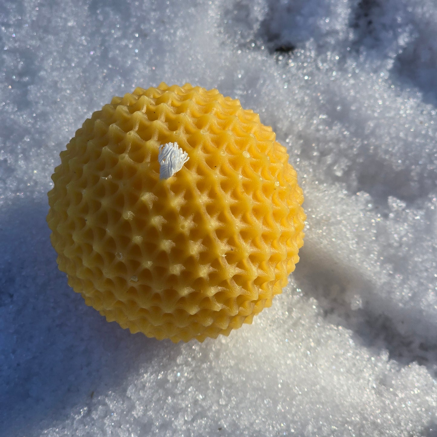 Dandelion Wish | Beeswax Candle