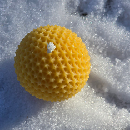 Dandelion Wish | Beeswax Candle