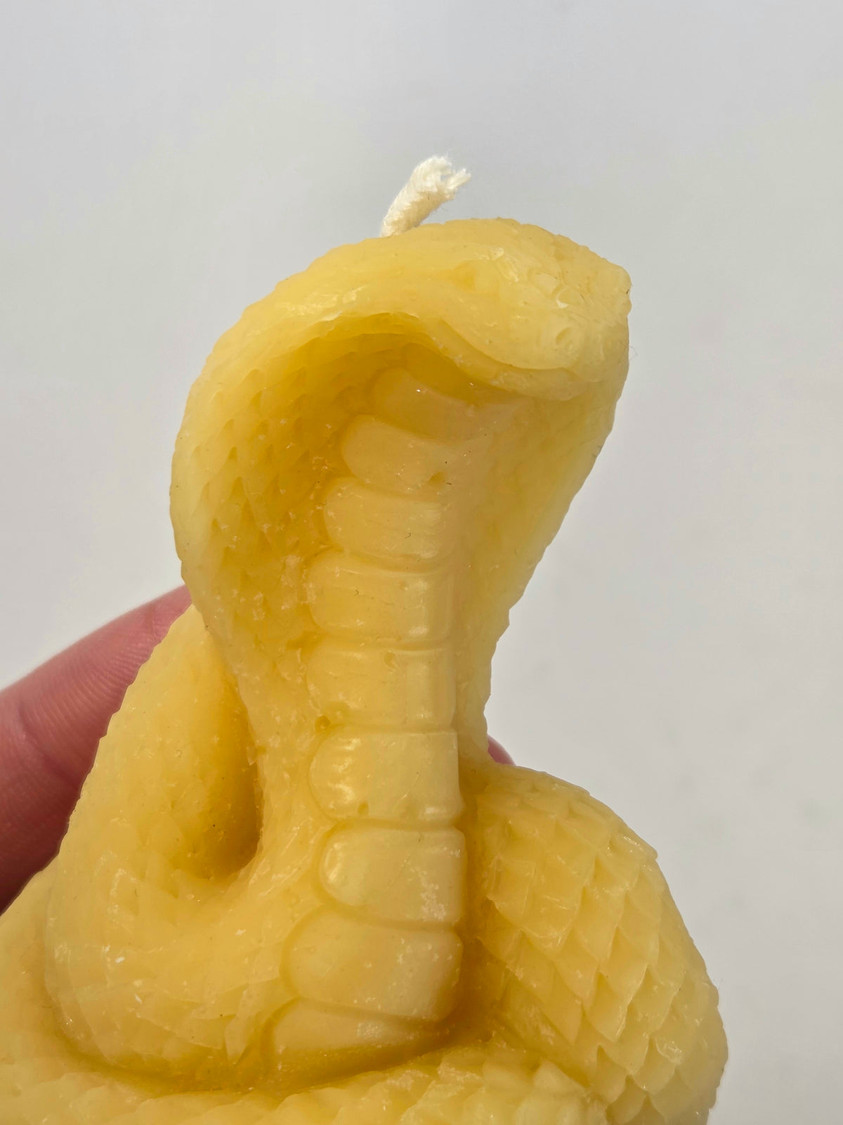 Desert Cobra | Beeswax Candle