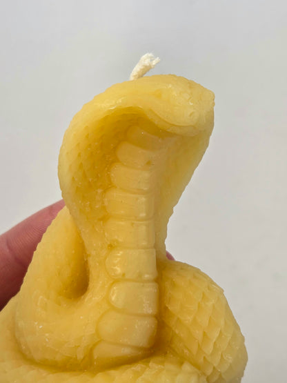 Desert Cobra | Beeswax Candle
