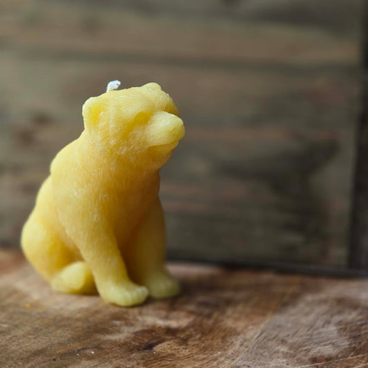 Burly Bear | Beeswax Candle