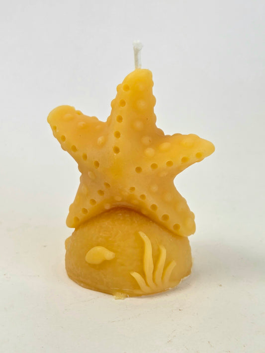 Sea Star | Beeswax Starfish Candle