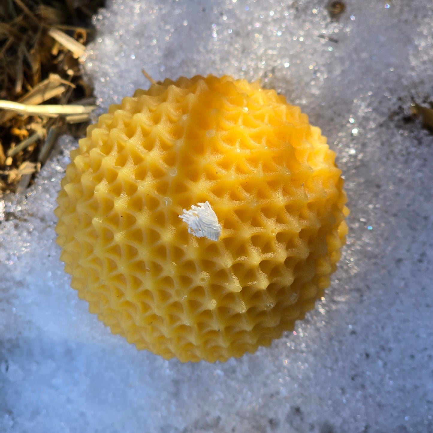 Dandelion Wish | Beeswax Candle