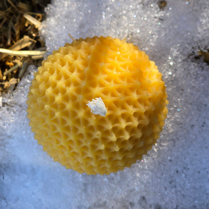 Dandelion Wish | Beeswax Candle