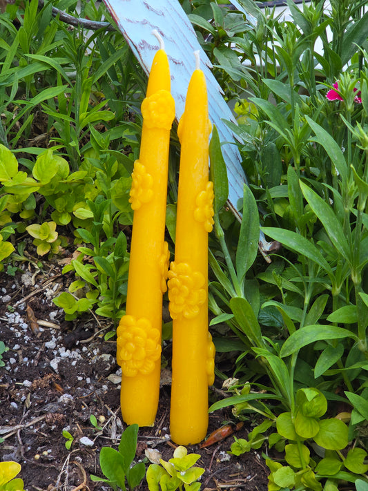 Carnation Taper - Set of 2 | Beeswax Candles