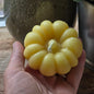 Sugar Pie Pumpkin | Beeswax Candle