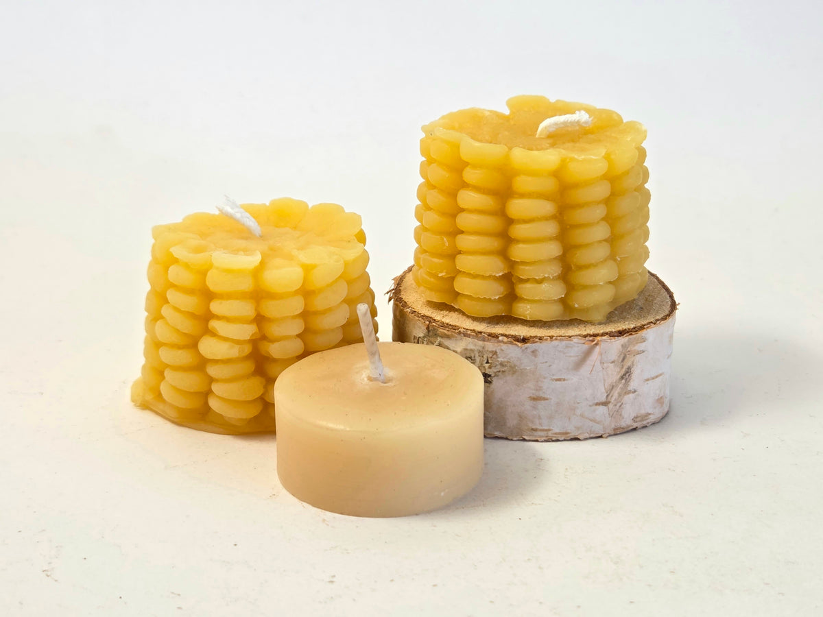 Corn Cob Slice | Beeswax Candle