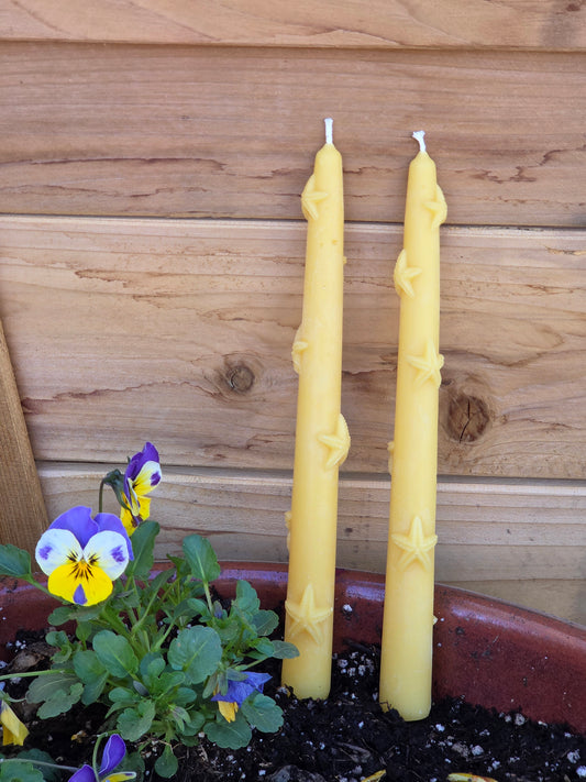 Starfish Tapers - Set of 2 | Beeswax Candles