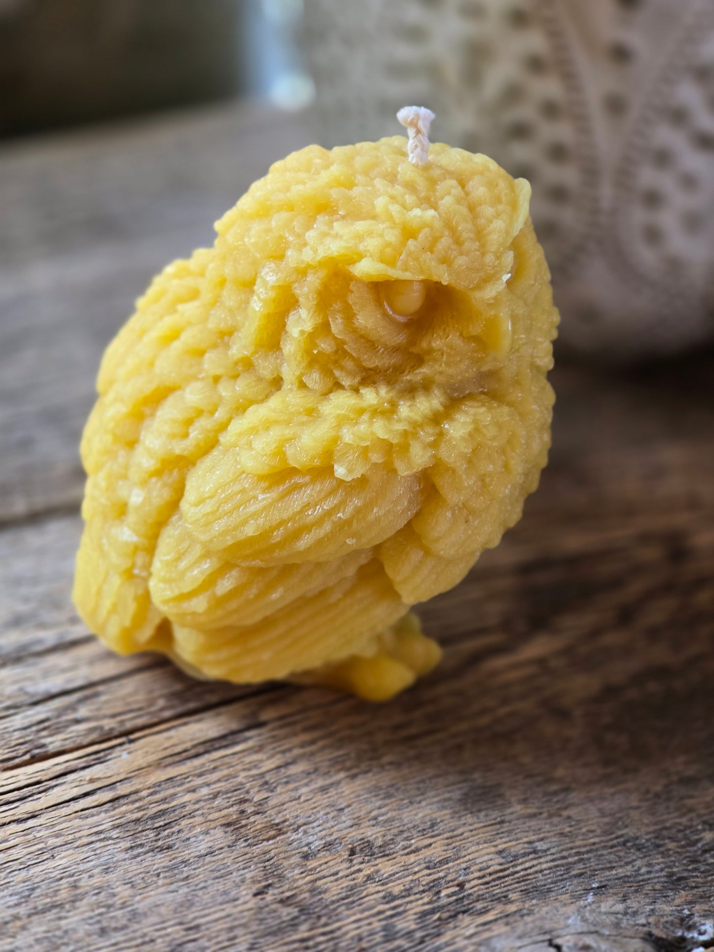 The Wise Owl | Beeswax Candle