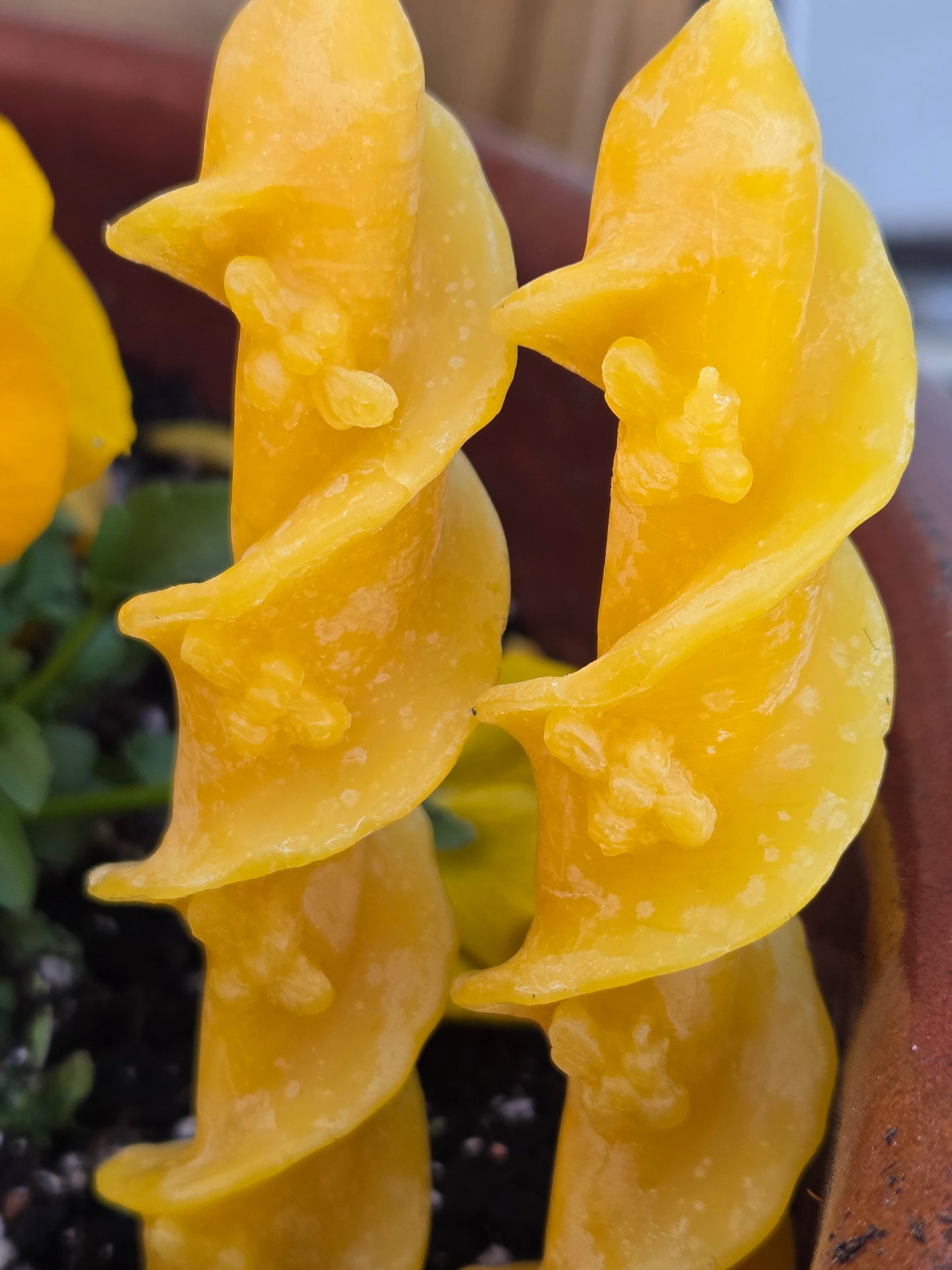 Swirl Bees Mini Taper - Set of 2 | Beeswax Candles