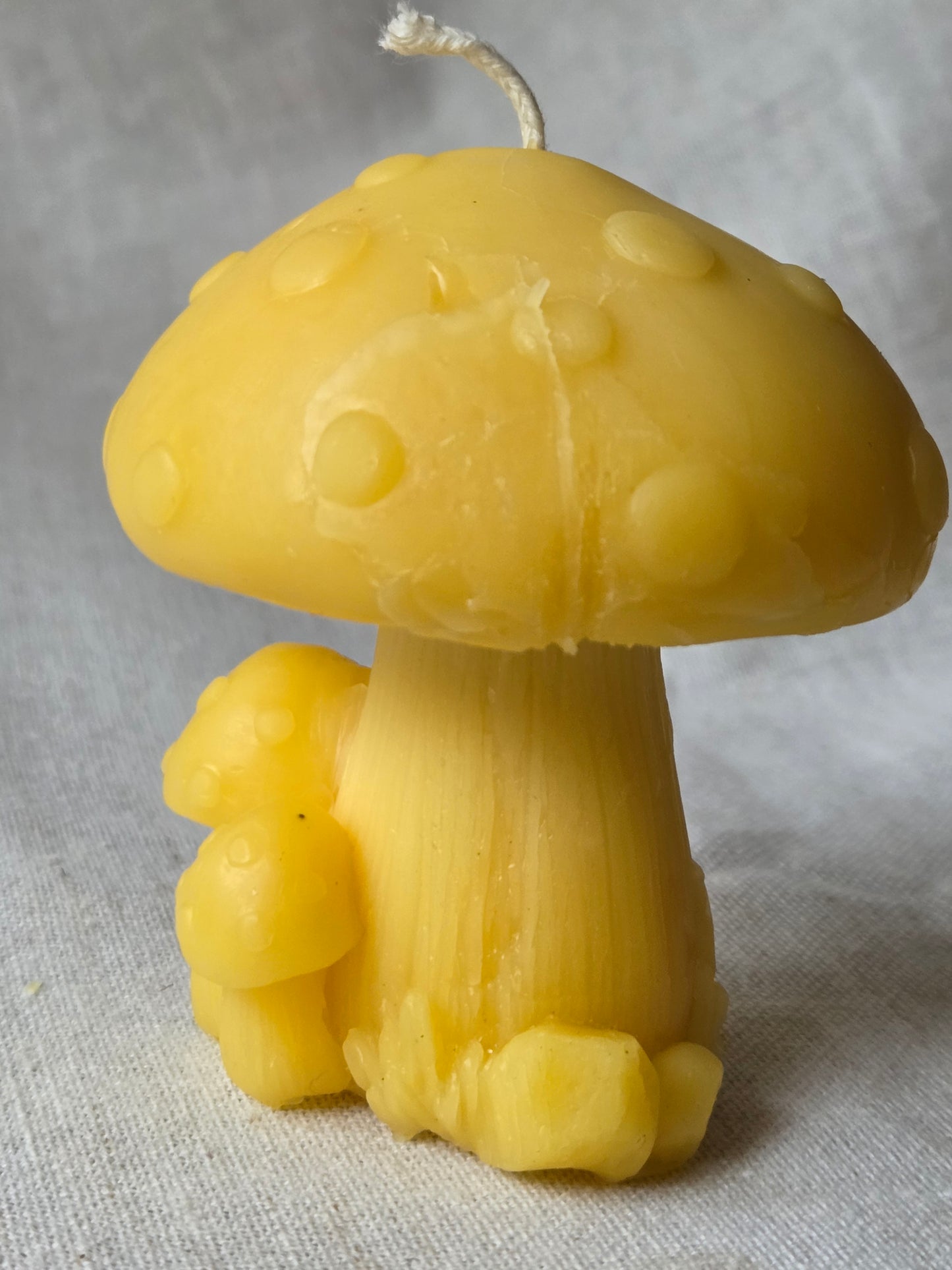 Fairytale Mushroom | Beeswax Candle