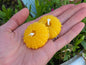 Sea Urchin Shell - Set of 2 | Beeswax Candle