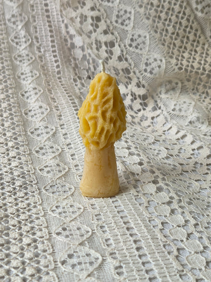 Morel Mushrooms - 2 Sizes | Beeswax Candles